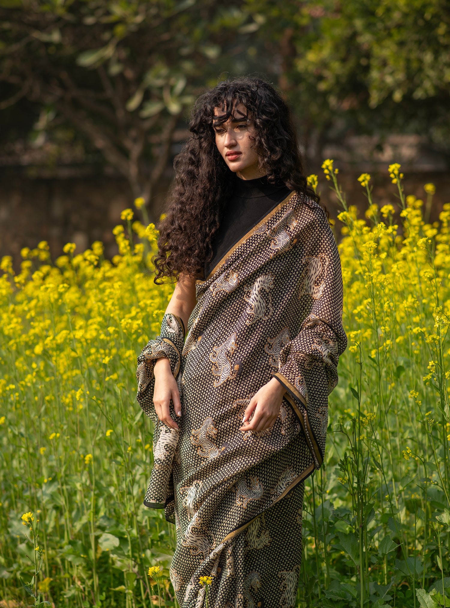 Saree Tiger : Chanderi Black