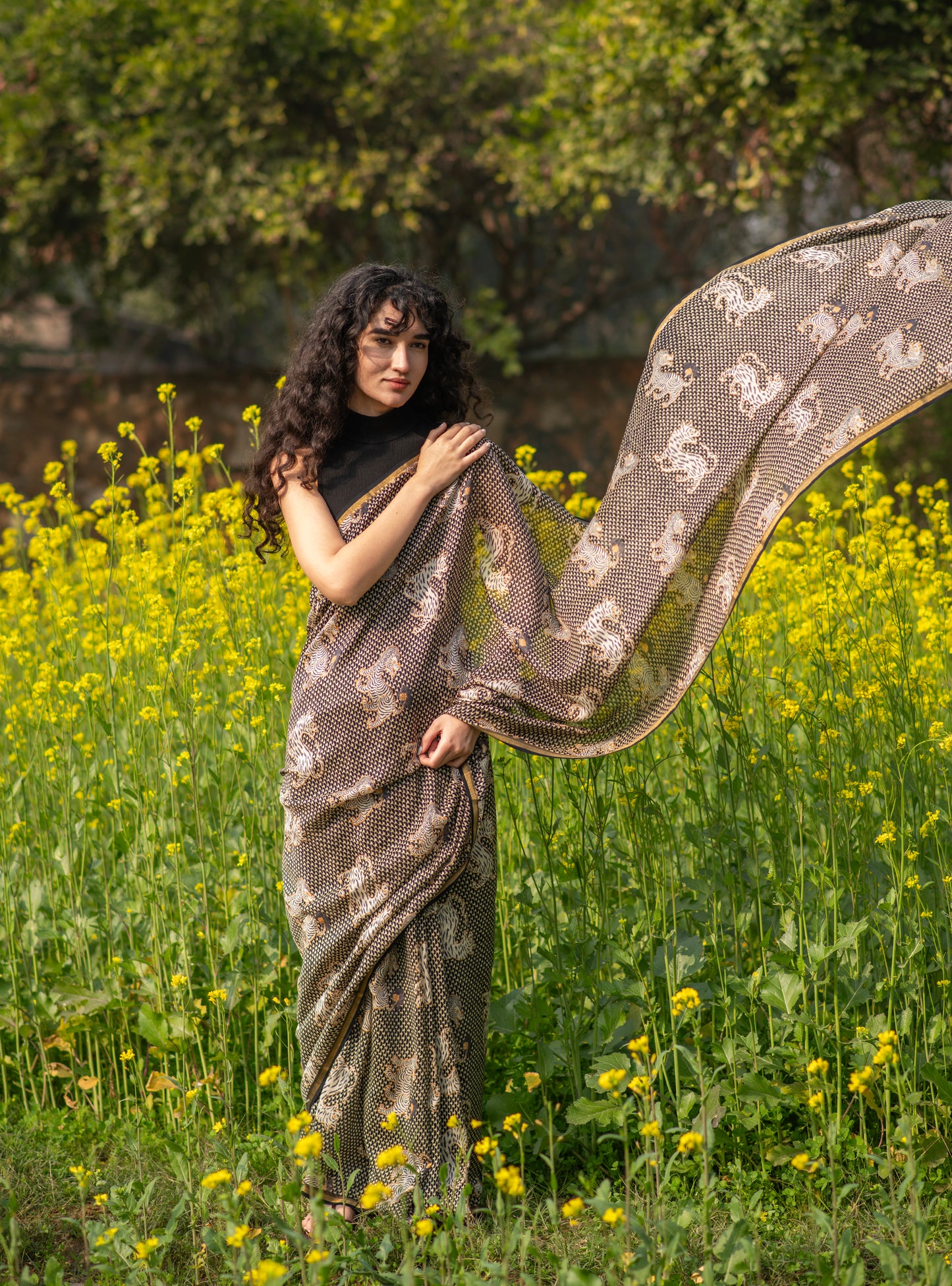 Saree Tiger : Chanderi Black