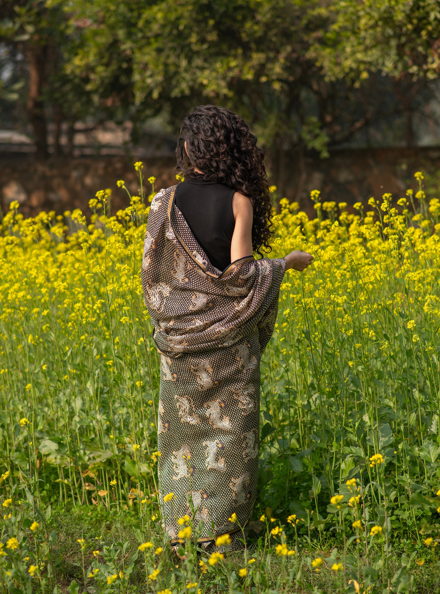 Saree Tiger : Chanderi Black